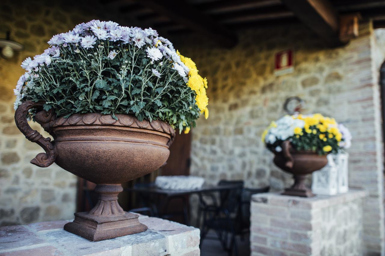 Borgo Del Faggio Lägenhet Montepulciano Stazione Exteriör bild